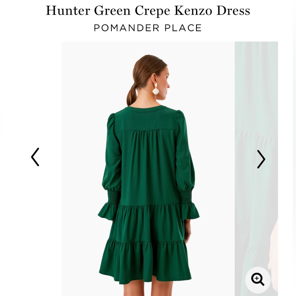 NWOT Tuckernuck Kenzo dress in hunter green